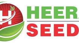 Heera seeds